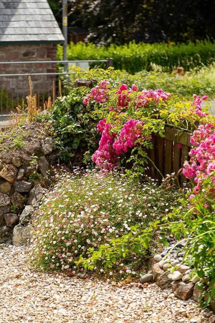 Charlestown Cottage, Woodburner, Gardens & Parking Exterior foto
